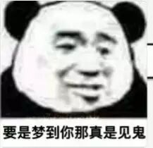 要是梦到你那真是见鬼