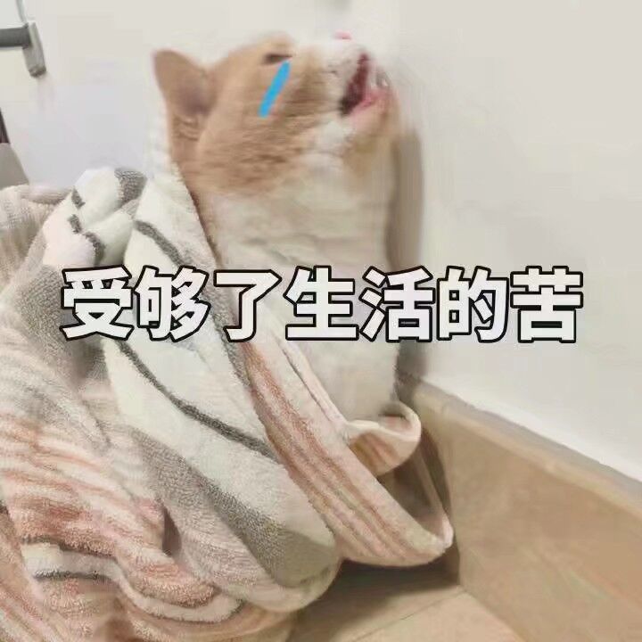 受够了生活看的苦