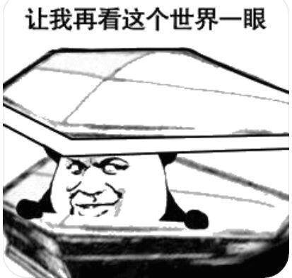 让我再看这个世界一眼