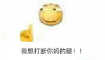 我想打断你妈的腿！！