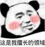 这是我擅长的领域