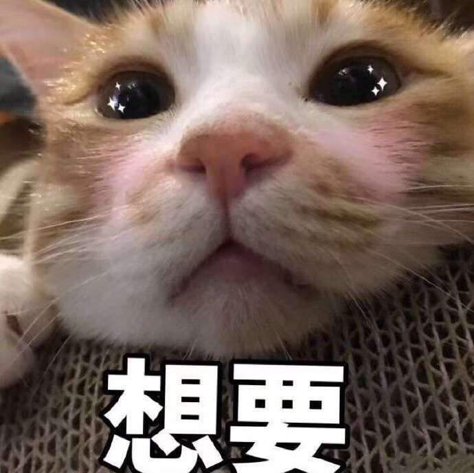 想要