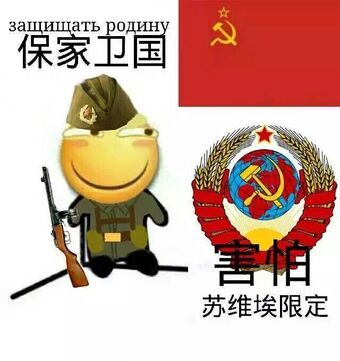 保家卫国！