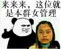 来来来，这位就是本群的女管理