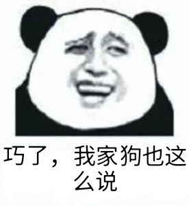 巧了，我家狗也这么说