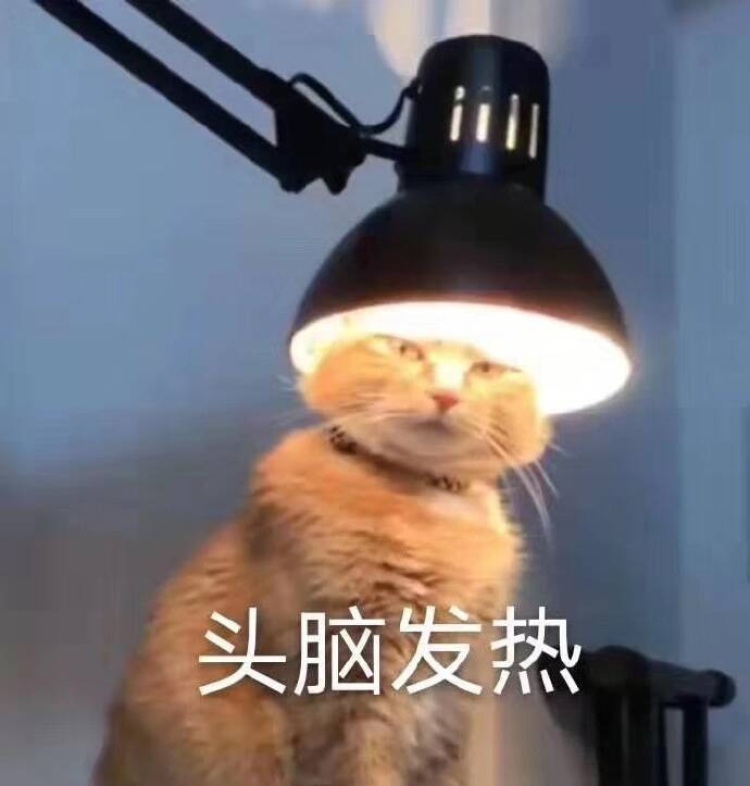 头脑发热（小猫）