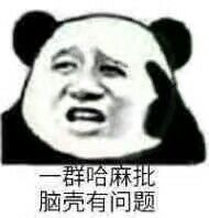 哈麻脑壳有问题