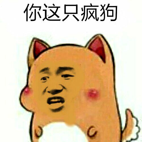 你这只疯狗