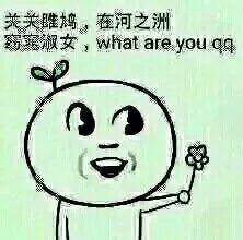 关关睢鸠，在河之洲，窈窕淑女，what are you qq