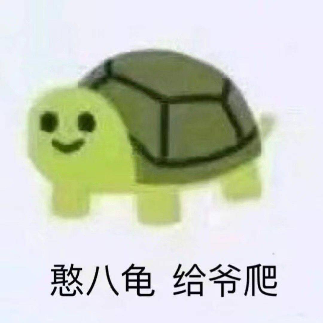 憨八龟给爷爬