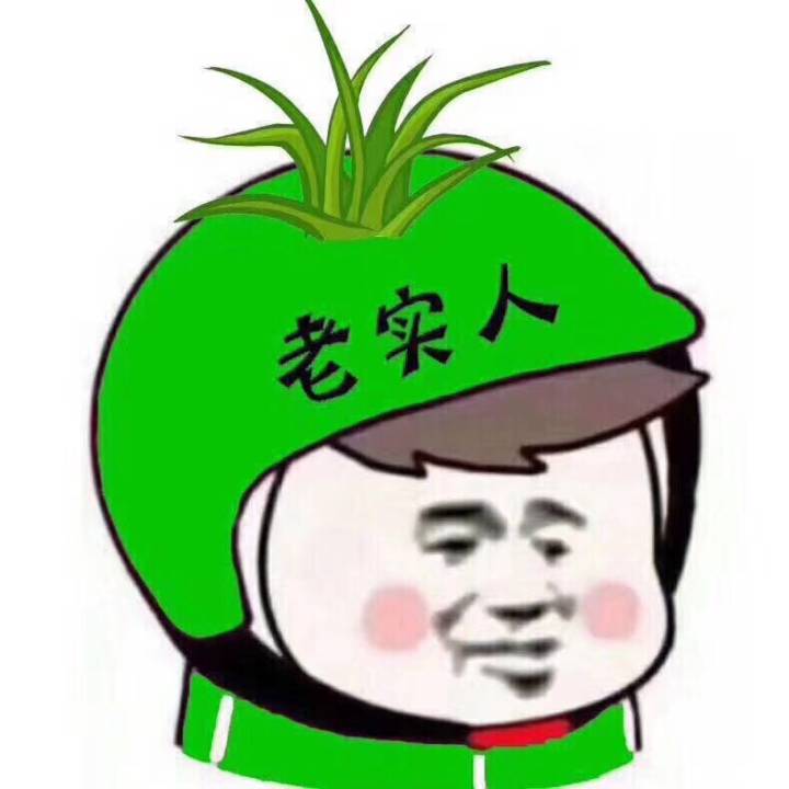 老实人