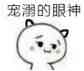 宠潮的眼神