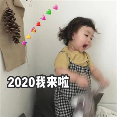 2020罗熙新年表情包图片 跨年表情包可爱搞笑