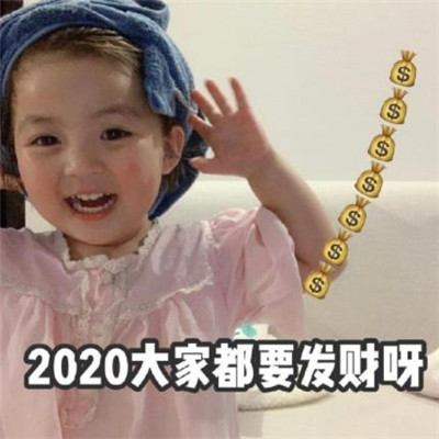 2020罗熙新年表情包图片 跨年表情包可爱搞笑