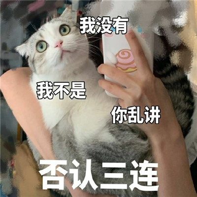 可爱猫咪表情包合集 抖音最火猫咪表情包带字图片