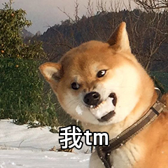 我tm