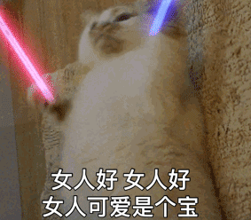 抖音猫拿荧光棒动态表情包大全 猫挥舞荧光棒GIF表情包可爱