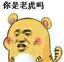 你是老虎吗