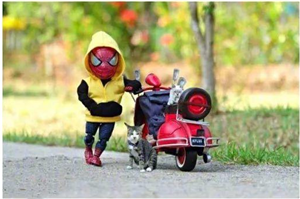 抖音热门猫咪和蜘蛛侠表情包大全 抖音猫咪和蜘蛛侠搞笑可爱表情图片