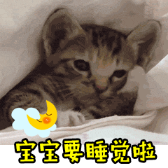 猫咪动态表情包大全2018 猫咪搞笑可爱gif表情包全套