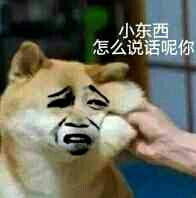 小东西怎么说话呢你