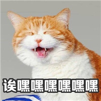 微信可爱猫咪表情包带字 你说什么我眼睛小听不清