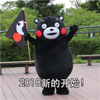 2018加油表情包熊本熊 2018面包会有的对象也会有的