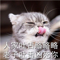 微信猫咪超凶的表情包 没有人可以比老子更凶