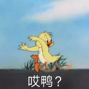 哎鸭？