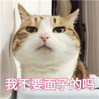 可爱猫咪微信表情包2018 萌萌哒猫咪微信表情包