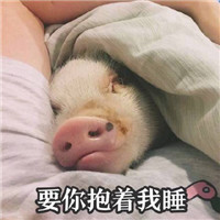 粉嫩小猪猪表情包大全2018 我爱工作工资使我又白又胖