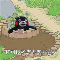 养什么蛙养我啊表情包熊本熊 建议你可以考虑考虑养养我