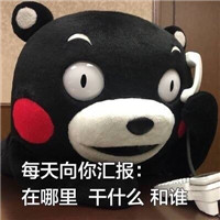 养什么蛙养我啊表情包熊本熊 建议你可以考虑考虑养养我