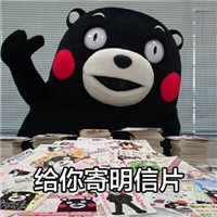 养什么蛙养我啊表情包熊本熊 建议你可以考虑考虑养养我
