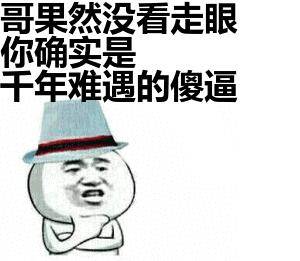 哥果然没看走眼，你确实是干年难遇的傻逼