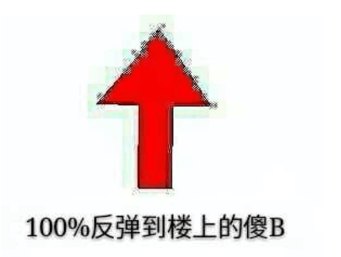 100%反弹到楼上的傻B