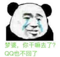 梦婆，你干嘛去了？QQ也不回了