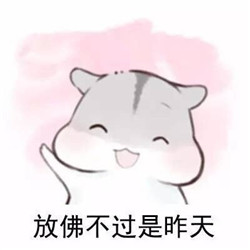 仓鼠版友谊表情包图片最新 最好的朋友都不在身边怎么办
