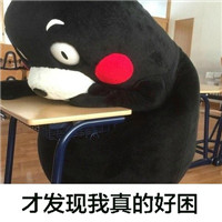 熊本熊系列可爱表情包之我爱学习 当一切准备就绪的时候才发现