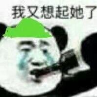 我又想起她了