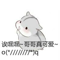 仓鼠兄妹表情包手绘可爱版 仓鼠妹妹表情包