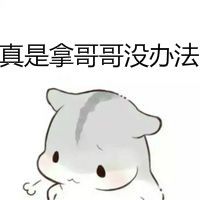 仓鼠兄妹表情包手绘可爱版 仓鼠妹妹表情包