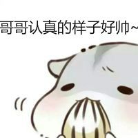 仓鼠兄妹表情包手绘可爱版 仓鼠妹妹表情包