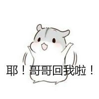 仓鼠兄妹表情包手绘可爱版 仓鼠妹妹表情包