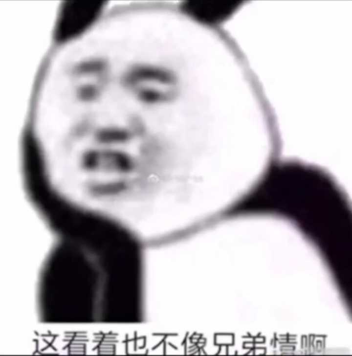 这看着也不像兄弟情啊