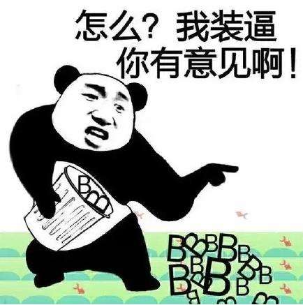 怎么？我装逼你有意见啊！