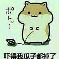 仓鼠瓜子系列卖萌开爱表情包 不要怂就是干