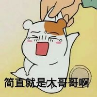 关于鹿晗的看家鼠qq表情包 我的偶像是鹿晗