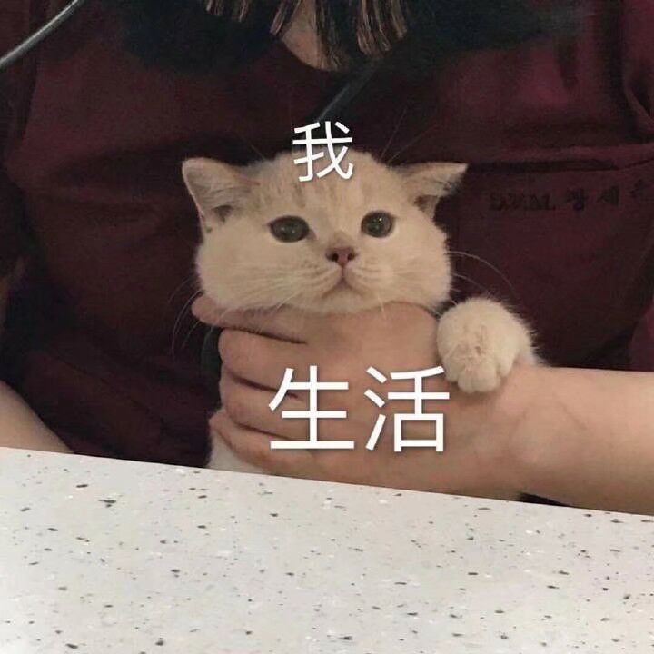 生活与我