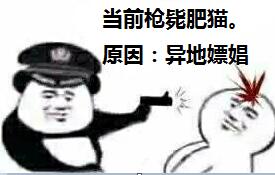 当前枪毙肥猫，原因:异地嫖娼